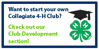 Collegiate 4-H Club Development