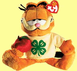 Garfield 4-H Beanie Baby